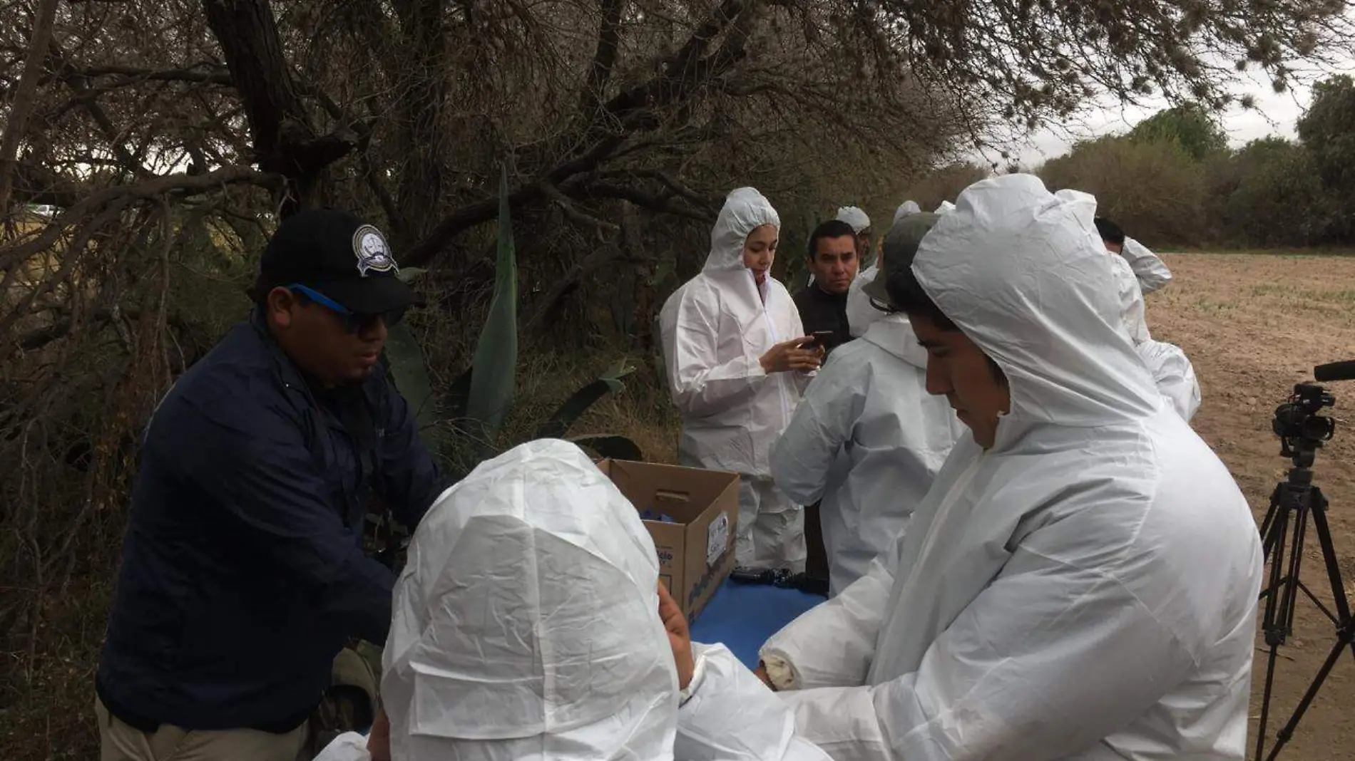 busqueda de cuerpos fosas restos humanos fosa clandestina